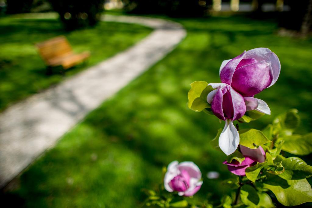 Batthyany Kuria Hotel Zalacsány Buitenkant foto